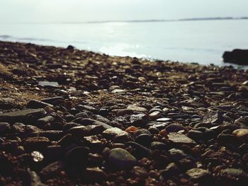 Close-up of pebbles with sea in background