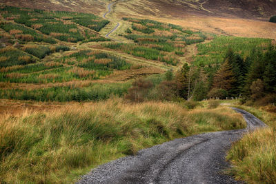 Road amidst green landscape