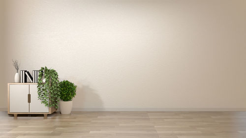 Potted plant at home