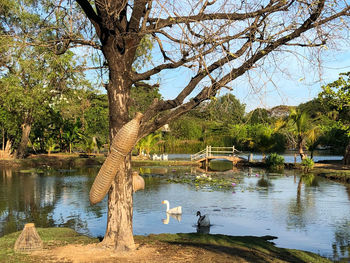 Scenic view of lake