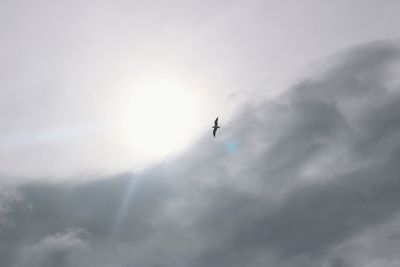 Low angle view of airplane flying in sky