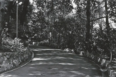 Road amidst trees in forest