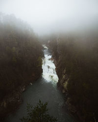 Scenic view of river in forest against sky