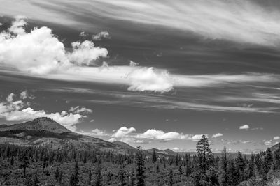 Scenic view of landscape against cloudy sky on sunny day