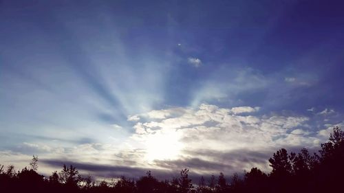 Low angle view of silhouette trees against sky