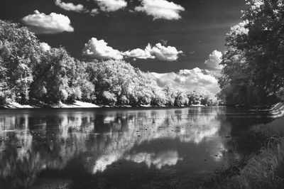 Reflection of trees in water