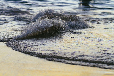 Close-up of sea shore at beach