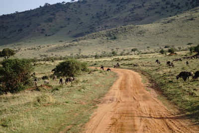 View of dirt road along landscape