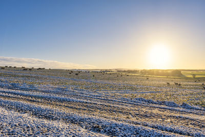 Scenic view of snowy field against sky during sunset