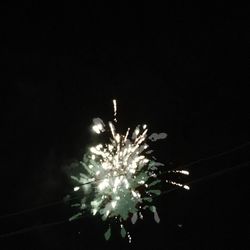 Low angle view of firework display at night