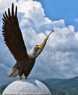 Low angle view of eagle flying against sky