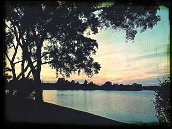 View of trees at sunset