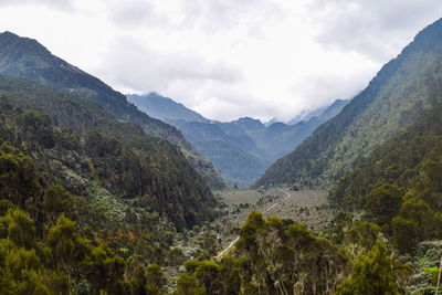 An aerial view of bujuku valley in the rwenzori mountain range, uganda