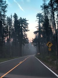 Empty road amidst trees in forest against sky