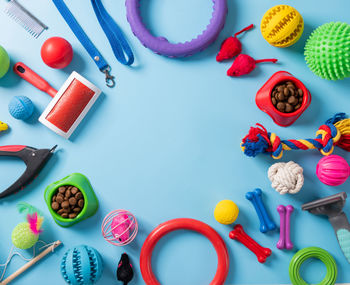Pet care concept, various pet accessories, toys, balls, brushes on blue background with copy space