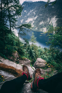 Low section of person on mountain in forest