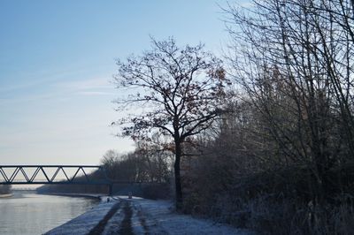 Bare trees by bridge against sky during winter