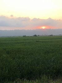 Scenic view of field against sky during sunset