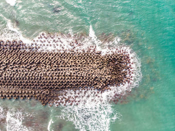 Aerial view of beach