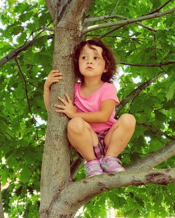 Cute girl crouching on branch of tree