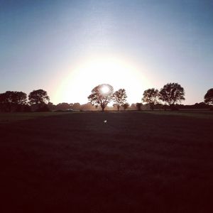 Silhouette of trees on field against clear sky