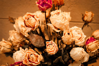 Close-up of wilted flowers on plant