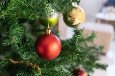 Close-up of christmas decoration hanging on tree