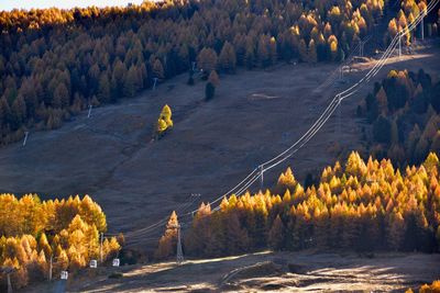 High angle view of trees and plants during autumn