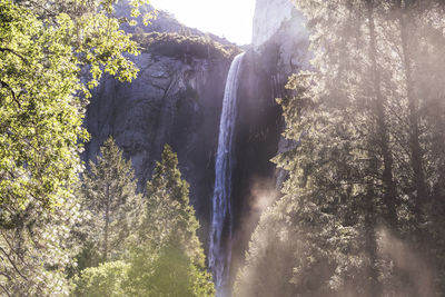 Low angle view of waterfall in forest