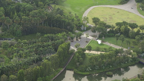 High angle view of road amidst trees