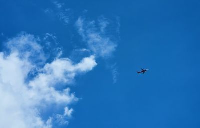 Low angle view of airplane flying in sky