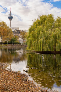 Reflection of trees and buildings in lake