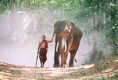Man walking with elephant by trees in forest