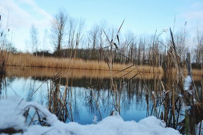 Scenic view of frozen lake against sky