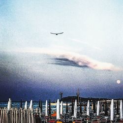 Airplane flying over cityscape against sky