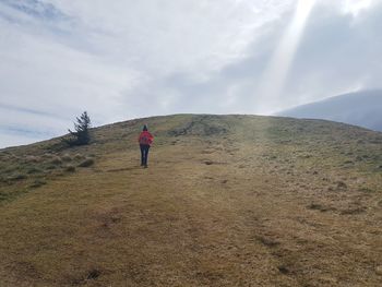 Rear view of man on landscape against sky