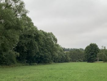 Scenic view of trees on field against sky