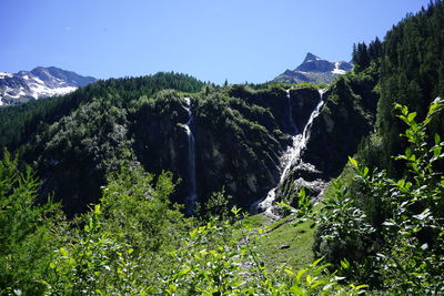 Panoramic view of trees and mountains against sky