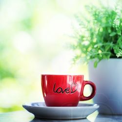 Close-up of love text on coffee cup