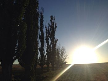 Silhouette trees on field against sky at sunset