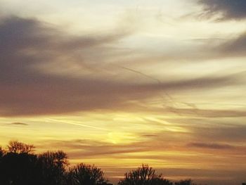 Low angle view of silhouette trees against sky at sunset