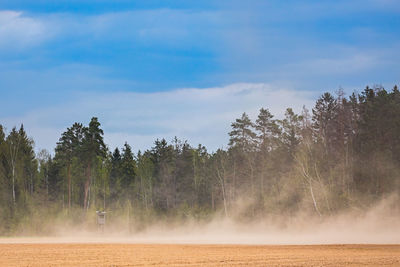 Scenic view of trees on landscape against sky