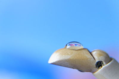 Close-up of hand holding toy against blue background