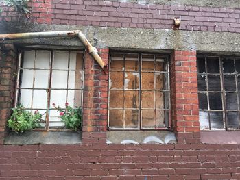 Window of house