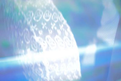 Close-up of plant against blurred background