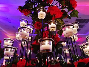 Low angle view of illuminated lanterns hanging on plant