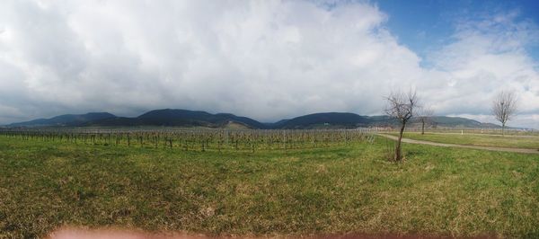 Panoramic view of landscape against sky