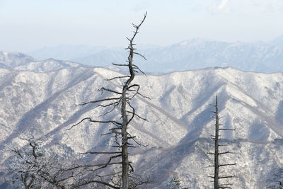 Scenic view of snow covered mountains