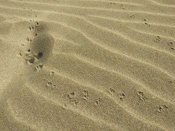 Full frame shot of sand