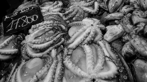 Full frame shot of fish for sale in market